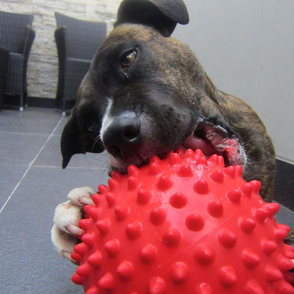 Aussie Dog Products 18cm Mitch Pet Toy Hard Ball Red M