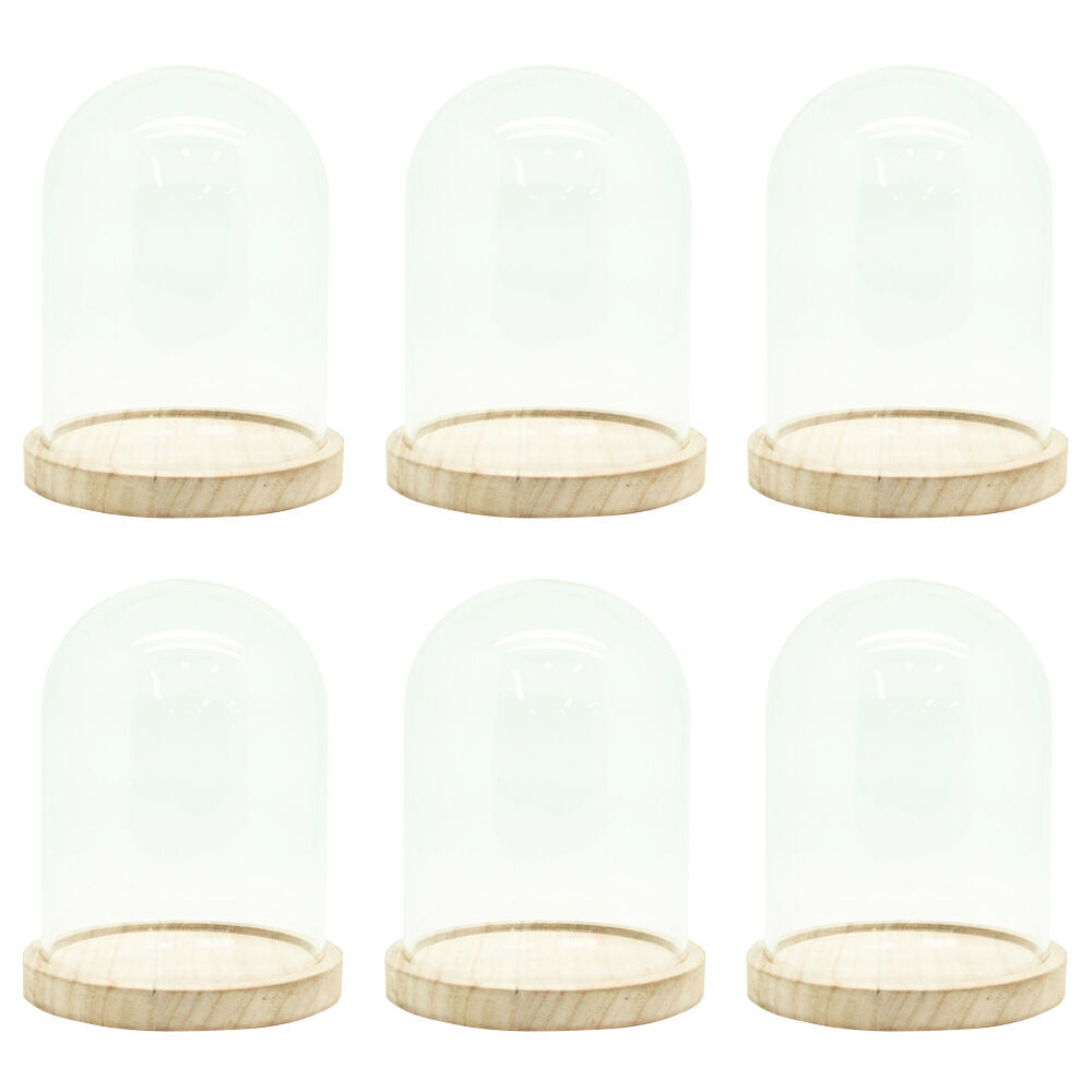 6PK Boyle Glass Cloche w/Wooden Base Display Case for Art/Collectables 17cm