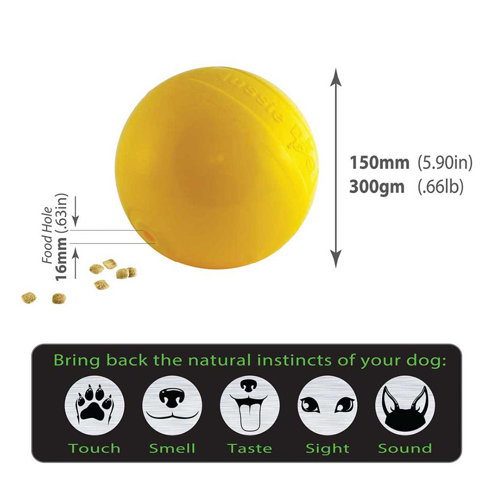 Aussie Dog Tucker Ball - Medium