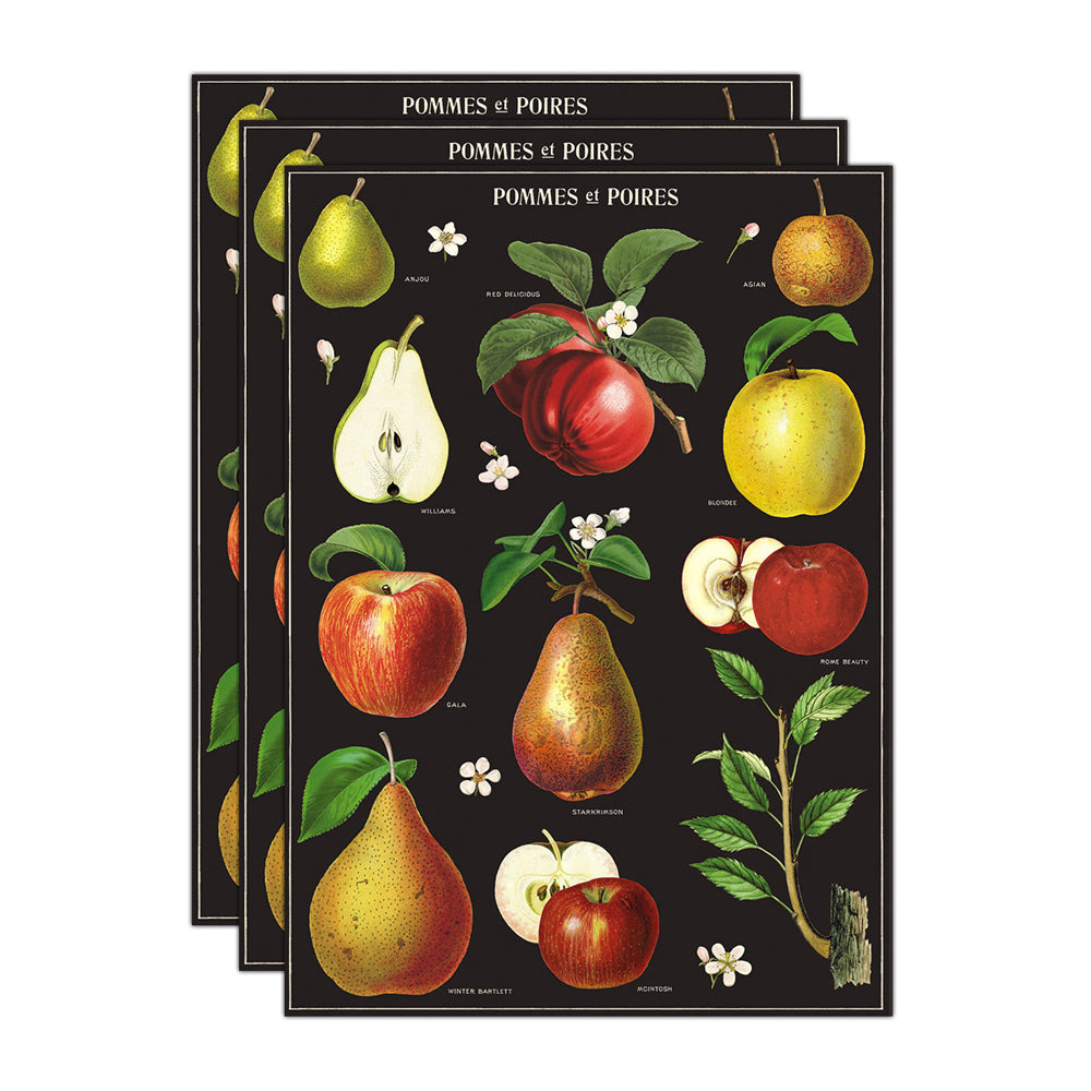 3PK Cavallini Paper Poster Prints/Gift Wrap 50x70cm - Apples & Pears