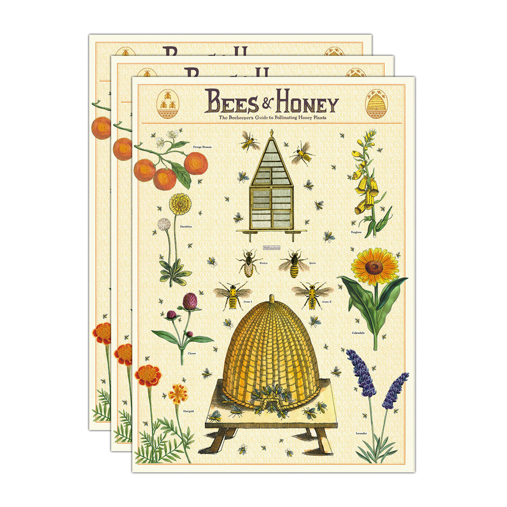 3PK Cavallini Paper Poster Prints/Gift Wrap 50x70cm - Bees & Honey