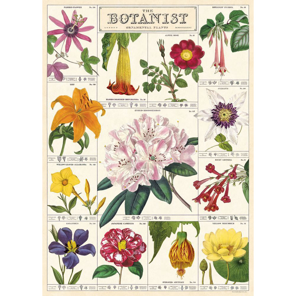 3PK Cavallini Paper Poster Prints/Gift Wrap 50x70cm - The Botanist