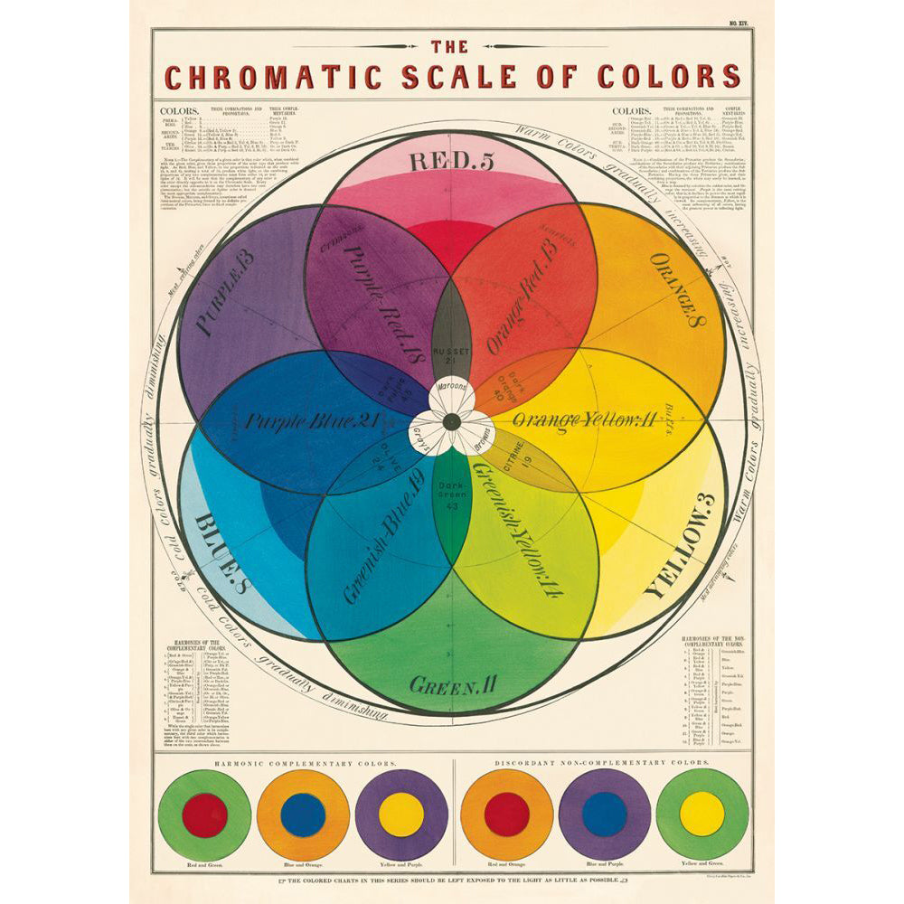3PK Cavallini Paper Poster Prints/Gift Wrap 50x70cm - Chromatic Scale