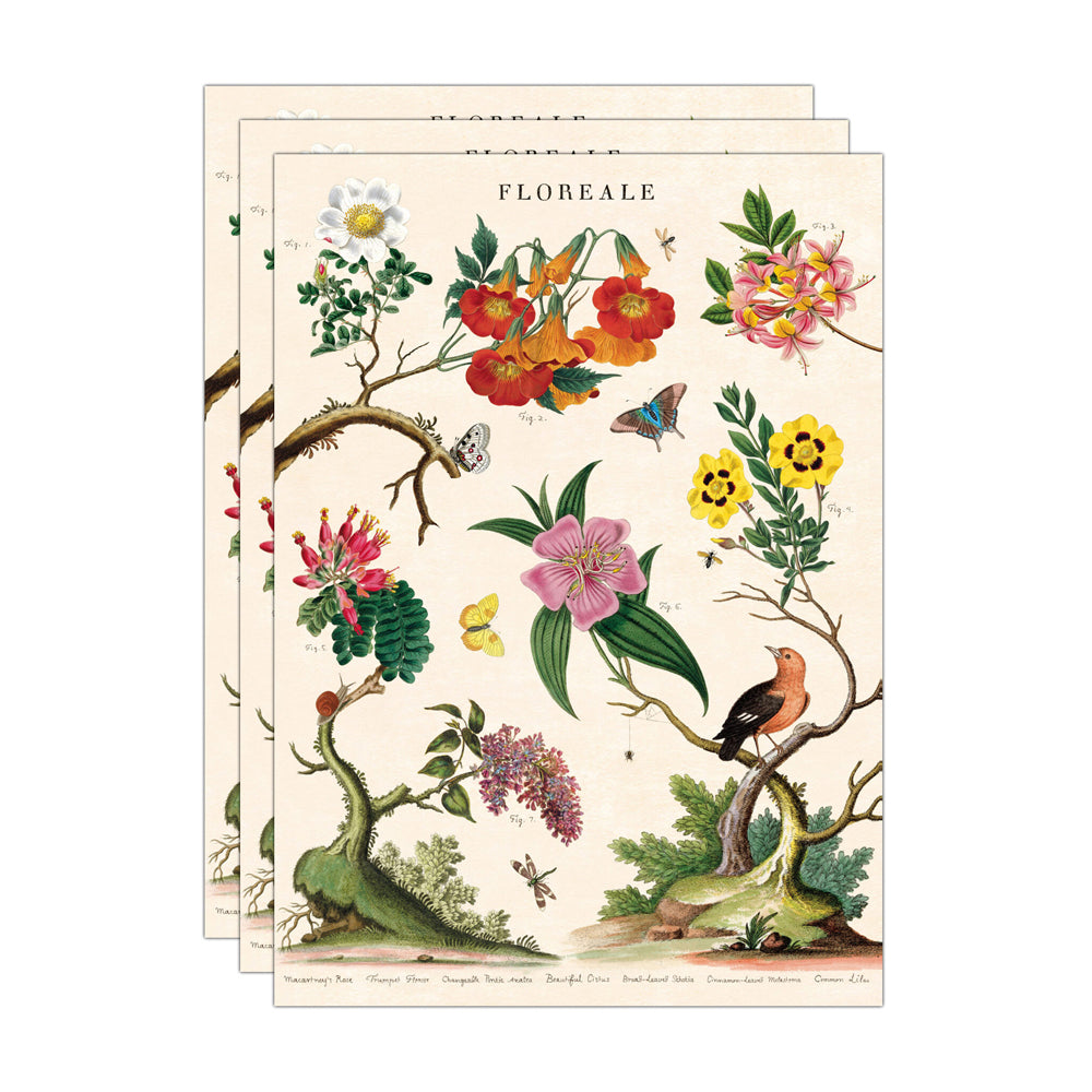 3PK Cavallini Paper Poster Prints/Gift Wrap 50x70cm - Floreale