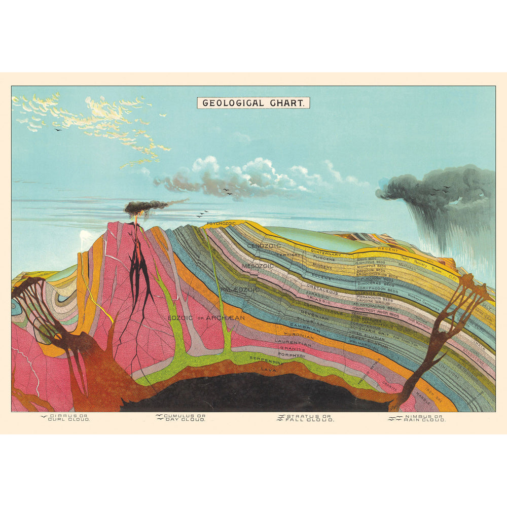3PK Cavallini Paper Poster Prints/Gift Wrap 70x50cm - Geological Chart