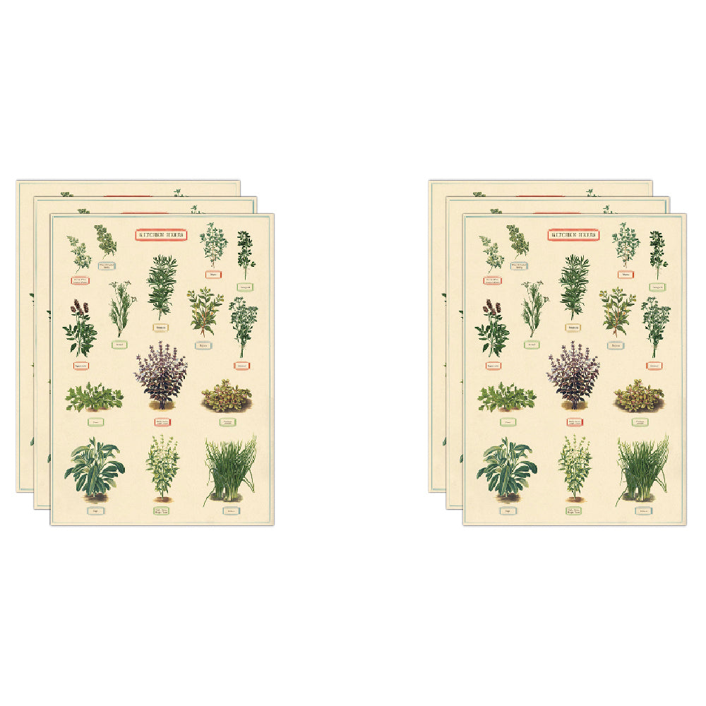 6PK Cavallini Paper Poster Prints/Gift Wrap 50x70cm - Kitchen Herbs