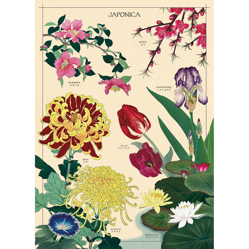 6PK Cavallini Paper Poster Prints/Gift Wrap 50x70cm - Japonica