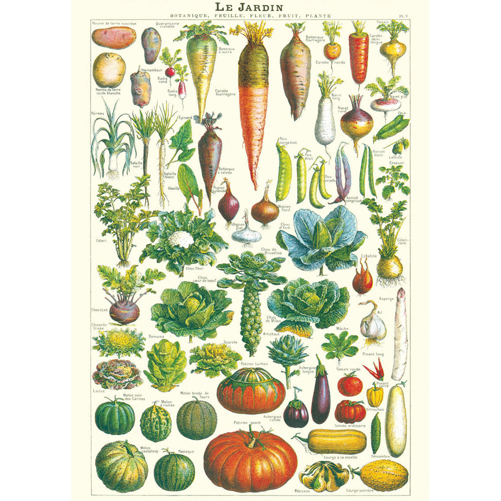 3PK Cavallini Paper Poster Prints/Gift Wrap 50x70cm - Le Jardin
