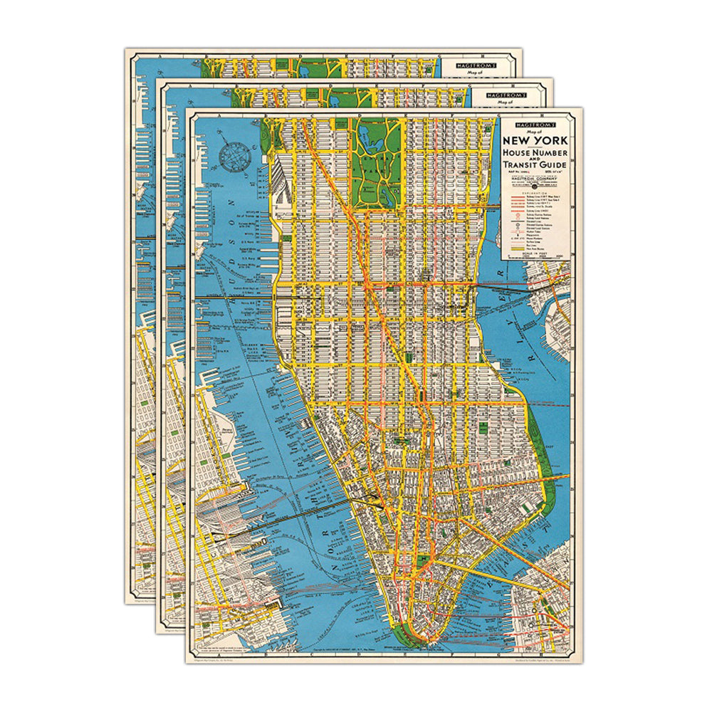 3PK Cavallini Paper Poster Prints/Gift Wrap 50x70cm - Map New York New
