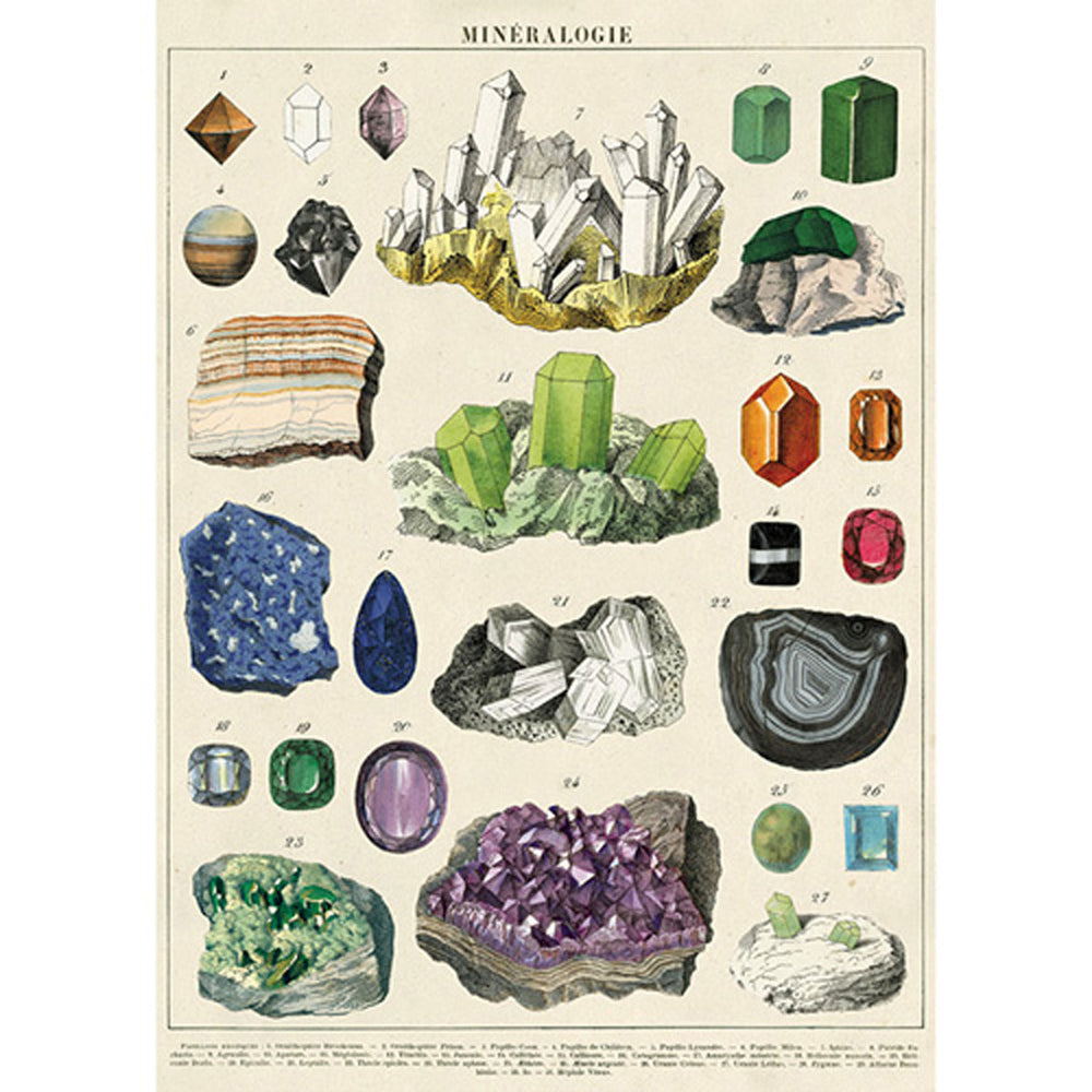 3PK Cavallini Paper Poster Prints/Gift Wrap 50x70cm - Mineralogie