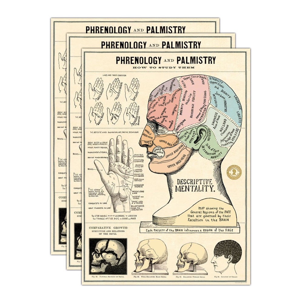 3PK Cavallini Paper Poster Prints/Gift Wrap 50x70cm - Phrenology & Palmistry
