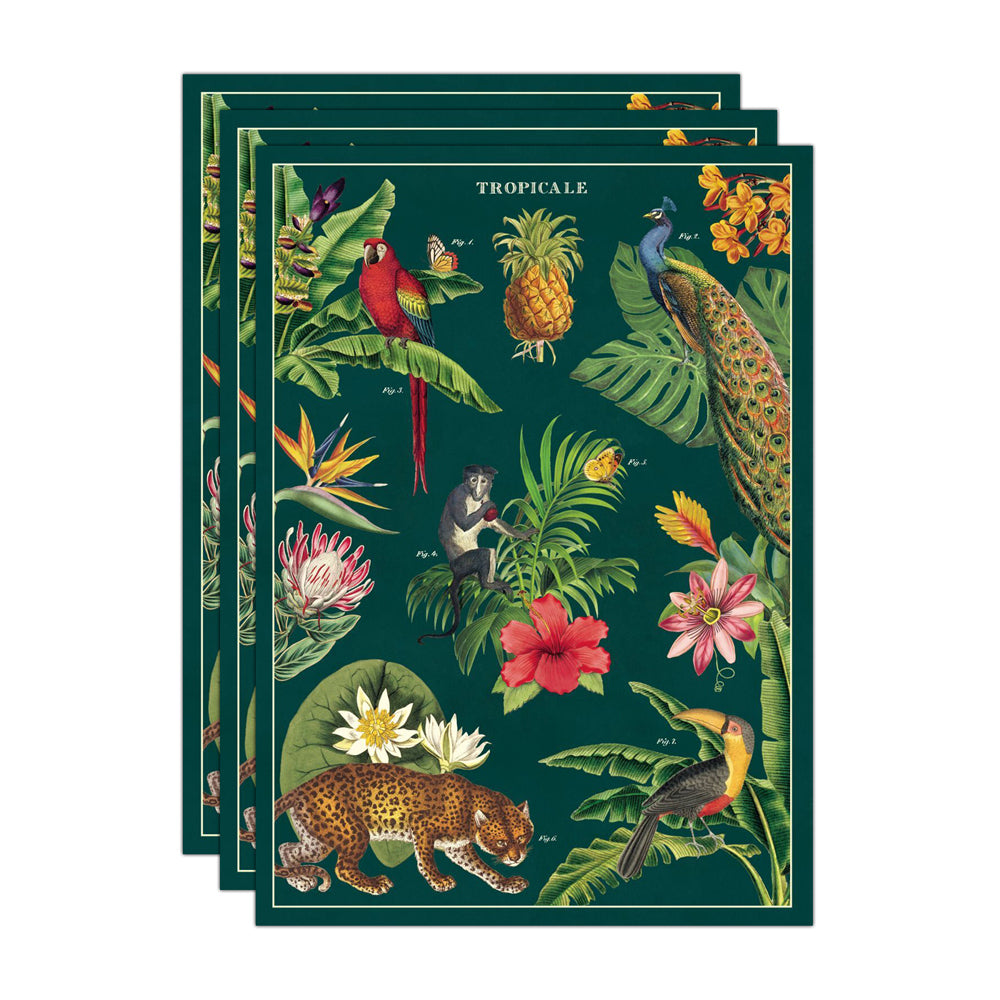 3PK Cavallini Paper Poster Prints/Gift Wrap 50x70cm - Tropicale
