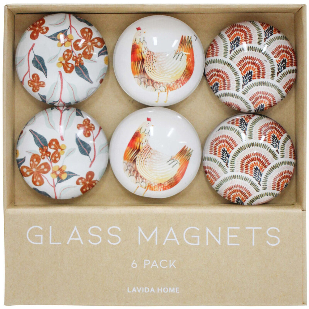 6pc LVD Earthen Glass 11.5cm Fridge Magnet Home Decor Round Set