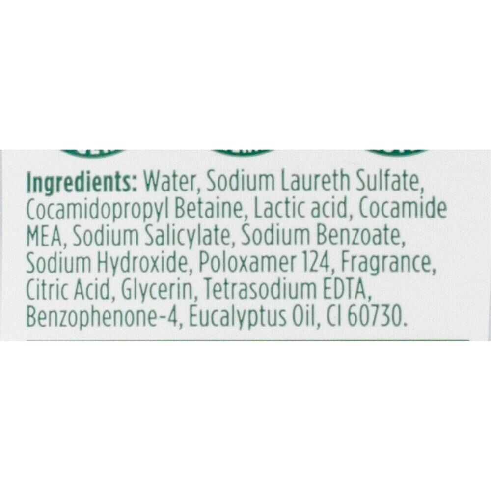 24PK Palmolive Foaming Hand Wash Antibacterial Mint Eucalyptus Limited Edition