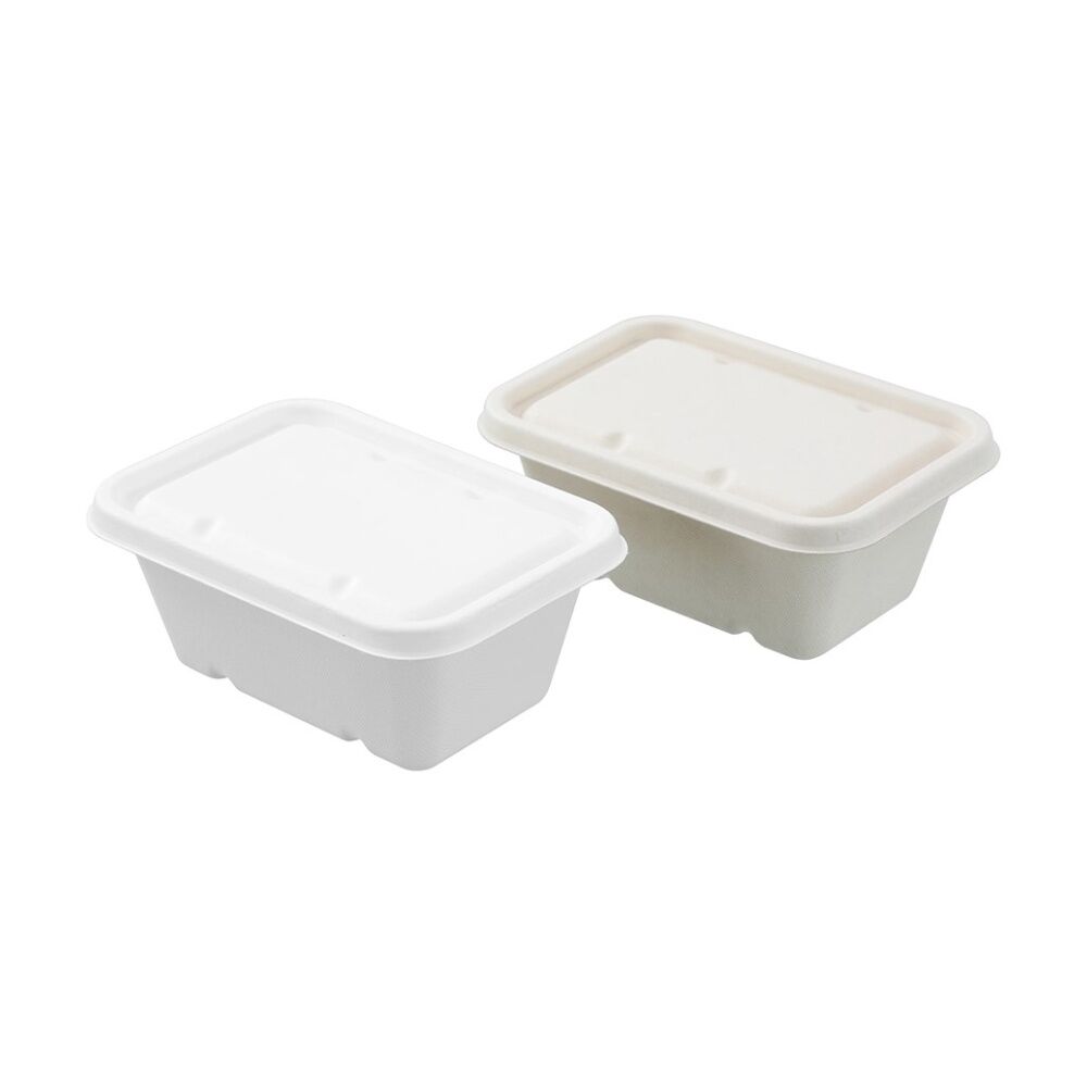 12x Lemon And Lime Eco Sugarcane Food Container Set 1L Capacity Assorted