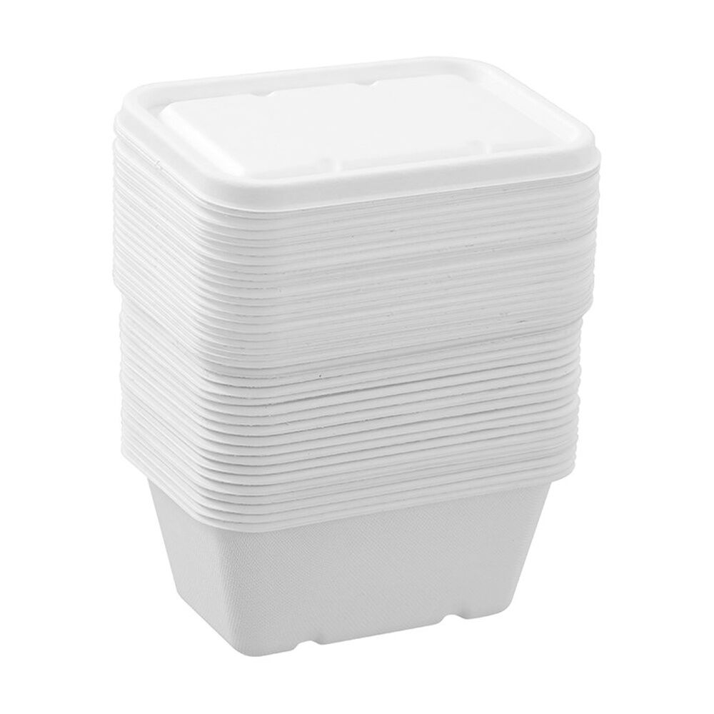 12x Lemon And Lime Eco Sugarcane Food Container Set 1L Capacity Assorted
