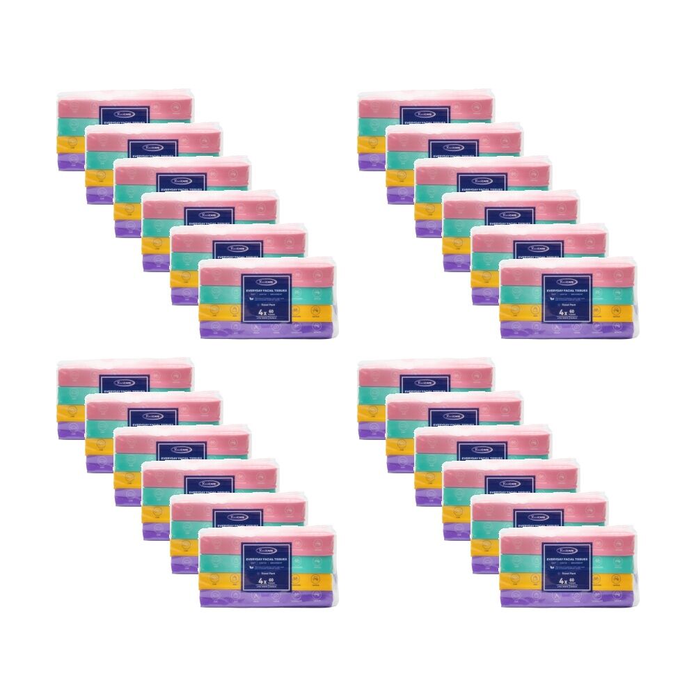 24x 4x60pc Real Care Everyday Facial Tissues 2 Ply Soft Gentle Absorbent 16x16cm