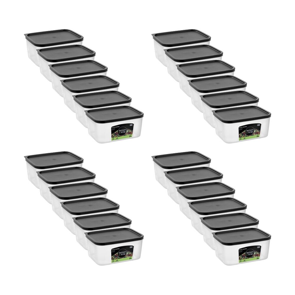24PK Lemon And Lime Food Keeper Rectangle Reusable Container 2L 20x15x9.3cm