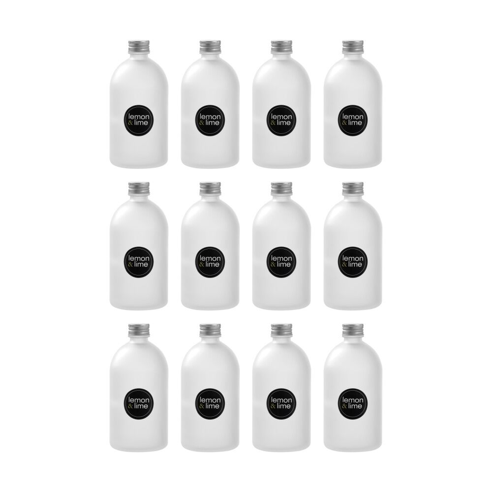 12PK Lemon And Lime Verre Frost Glass Reusable Food Container Lid Silver 500ml