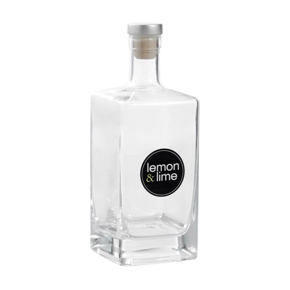 6PK Lemon And Lime Verre Square Glass Bottle Reusable Food Container 520ml