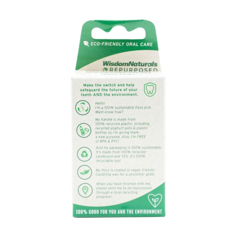 30pc Wisdom Naturals Recycled Plastic Dental Floss Picks Set Green