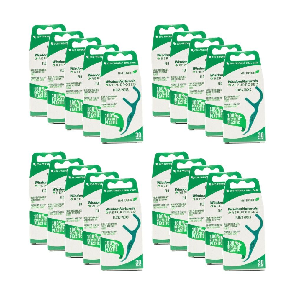 20x 30pc Wisdom Naturals Recycled Plastic Dental Floss Picks Set Green