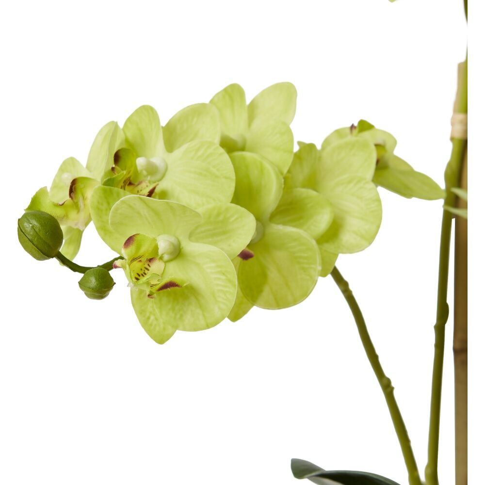 E Style Phalaenopsis Mini Green Orchid Artificial Flower Glass Vessel 21x16x40cm