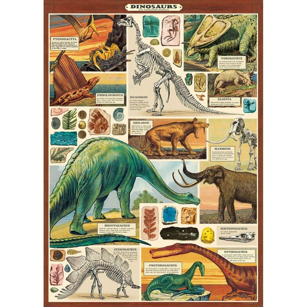 2PK Cavallini Poster Gift Wrap Dinosaurs 2 Vintage Illustration 50x70cm