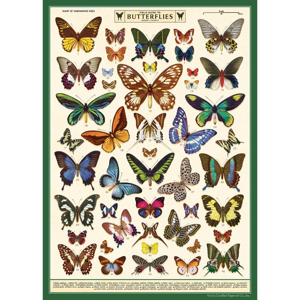 2PK Cavallini Poster Gift Wrap Paper Vintage Art Field Guide to Butterflies