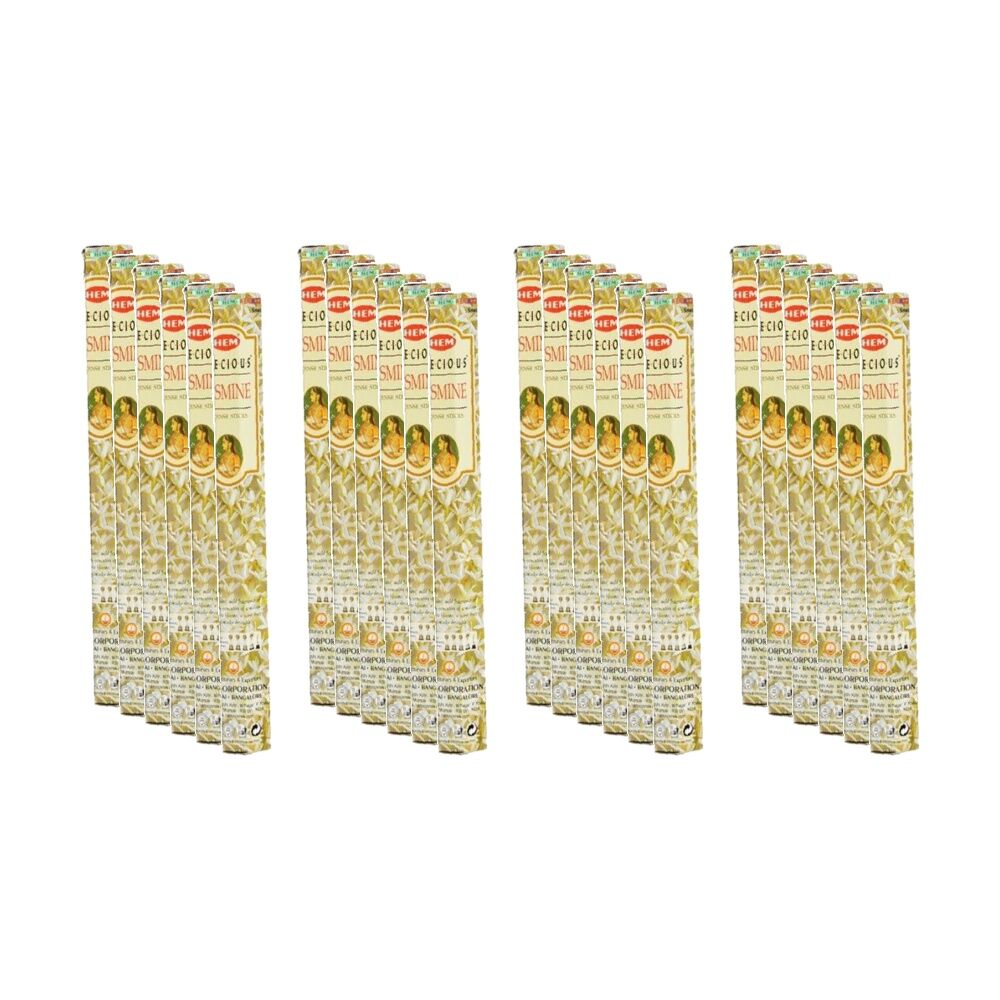 24PK HEM Home Fragrance Scented Smelling Incense Sticks Packet Set Jasmine
