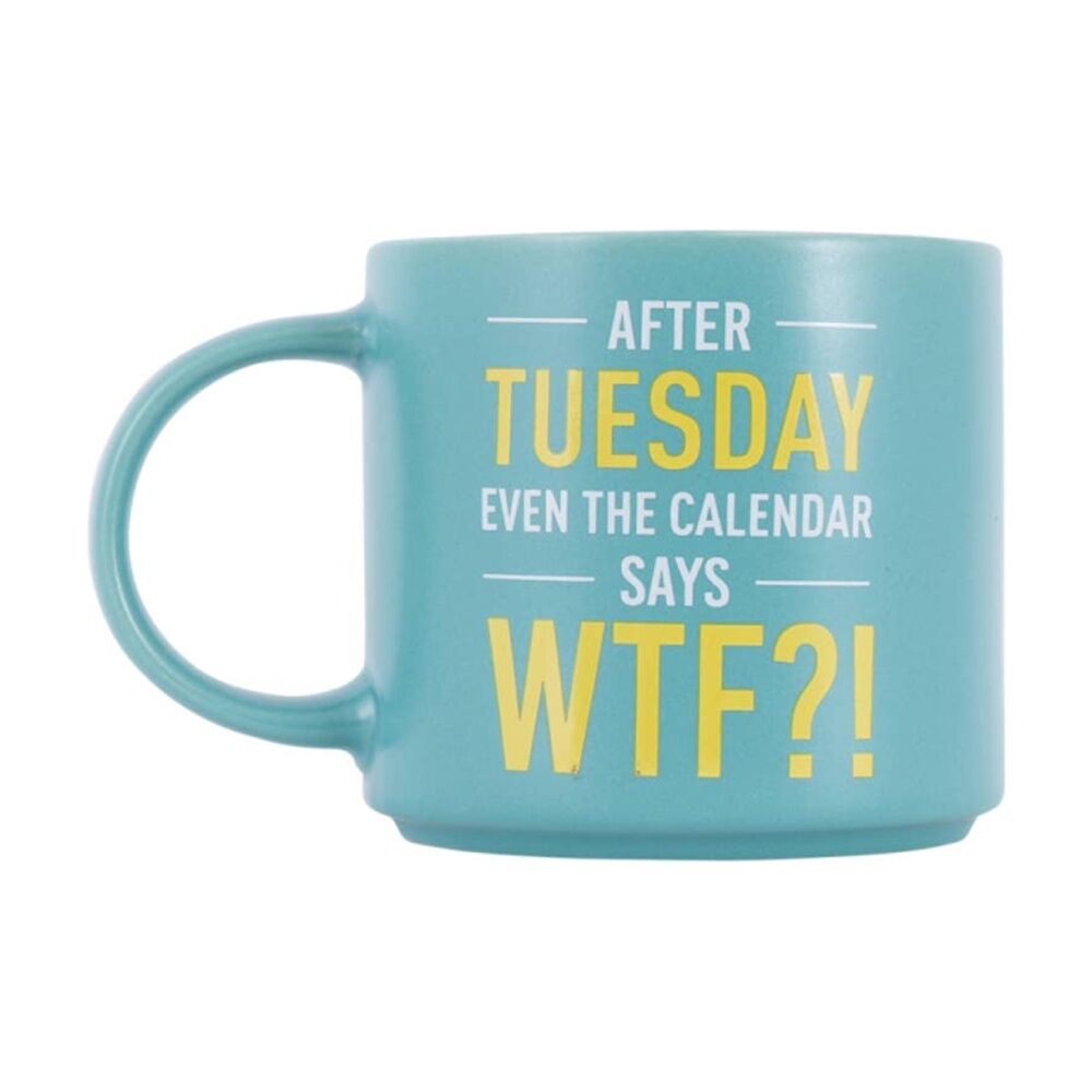 Cheeky Mugs WTF Ceramic Mug Microwave Dishwasher Safe Aqua 390ml