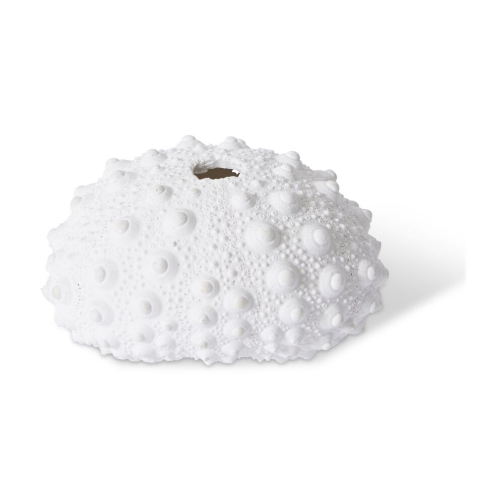 6PK E Style Shell Sea Urchin Coastal White Decorative Ornament 9x8x5cm