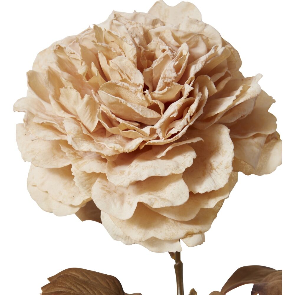 6PK E Style Peony Decor Stem Artificial Flower Antique Cream 17x17x69cm