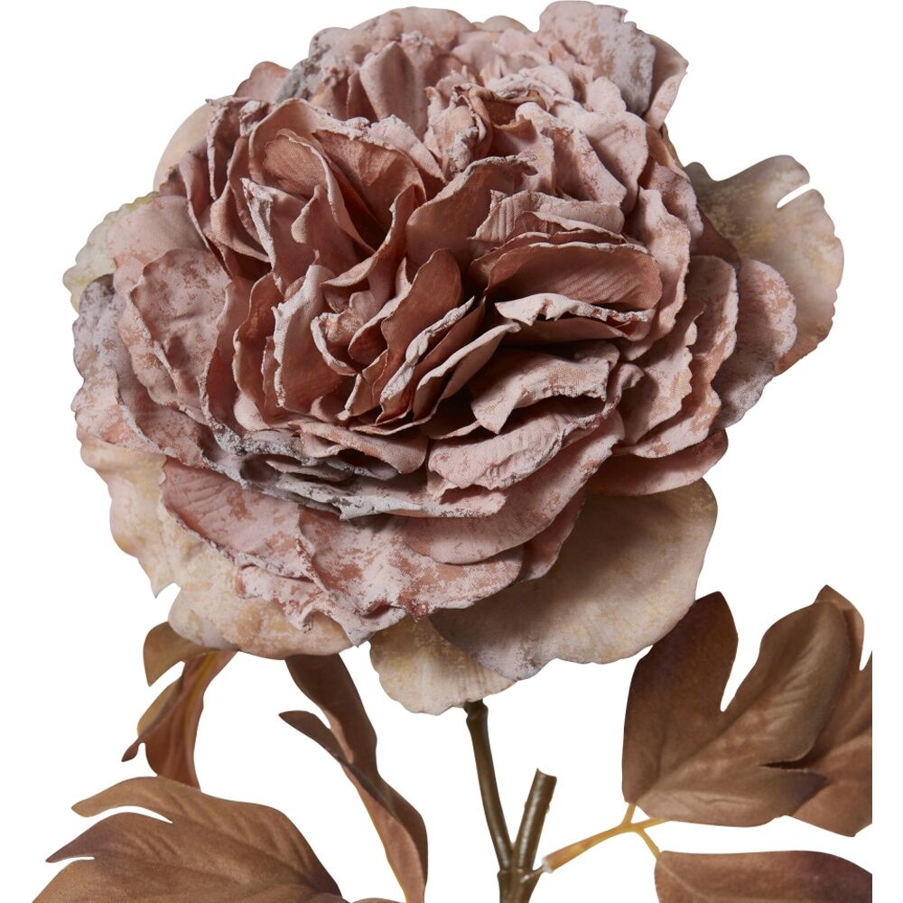 3PK E Style Peony Decor Stem Artificial Flower Dusty Mauve 17x17x69cm