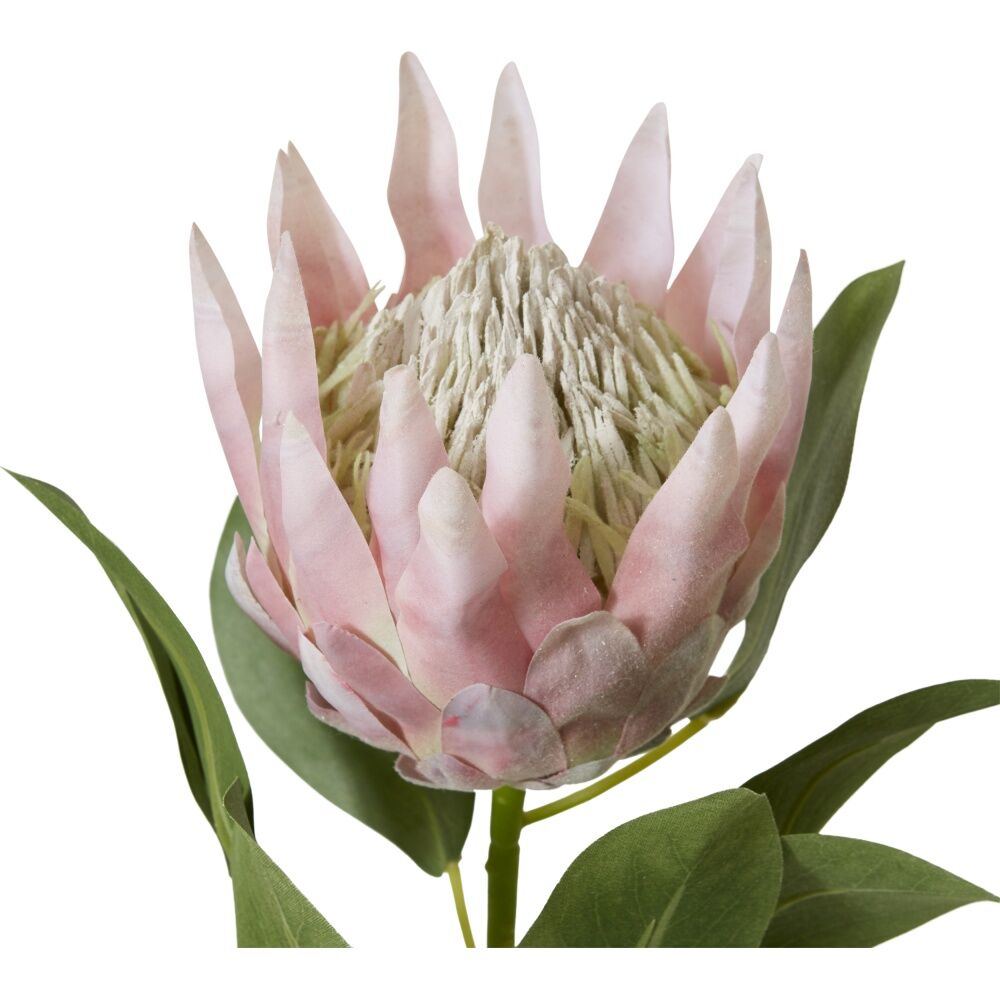 E Style Protea King Stem Artificial Flower Pink 20x13x74cm