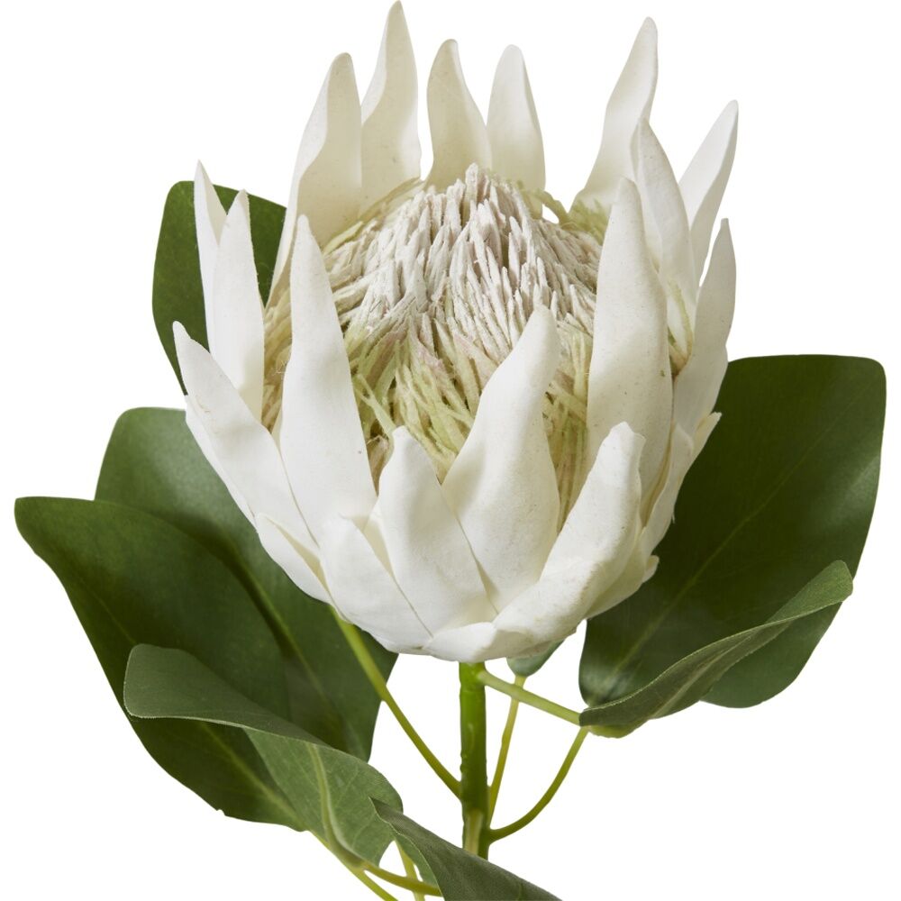 2PK E Style Protea King Stem Artificial Flower Off White 20x13x74cm