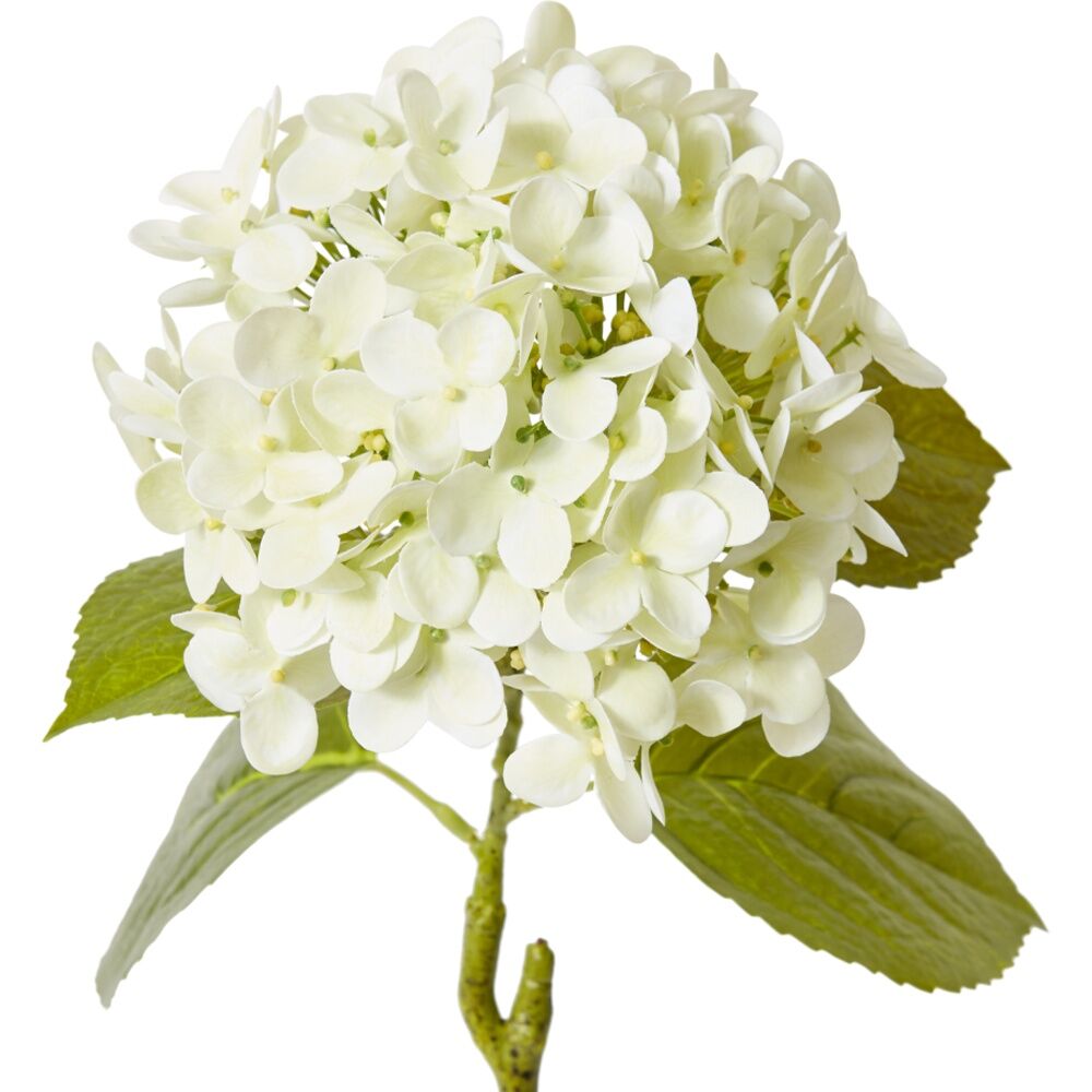 E Style Hydrangea Garden Stem Artificial Flower Soft Green 26x20x61cm