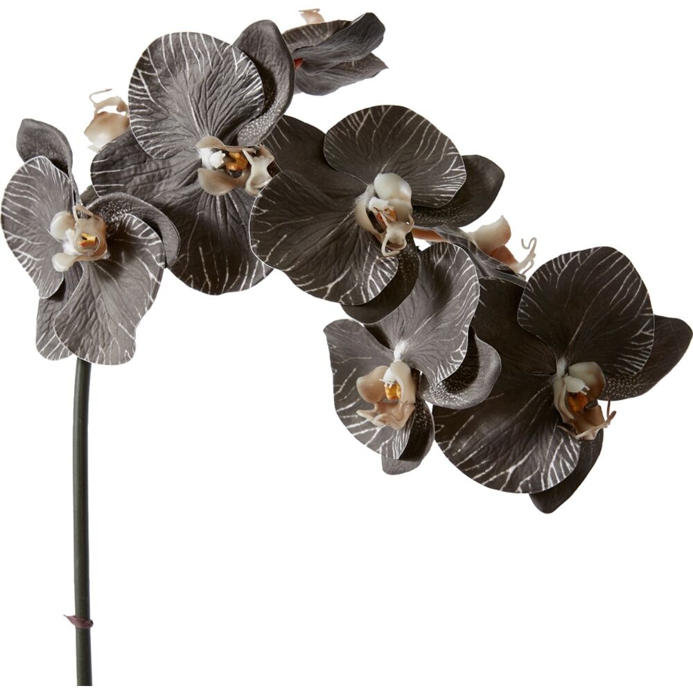 3PK E Style Phalaenopsis Orchid Stem Artificial Flower Black 20x8x95cm