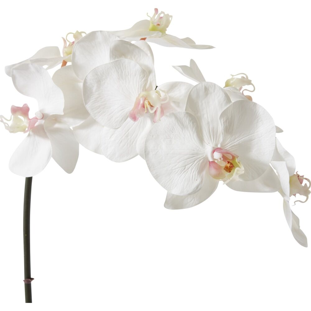 6PK E Style Phalaenopsis Orchid Stem Artificial Flower Pink White 20x8x95cm