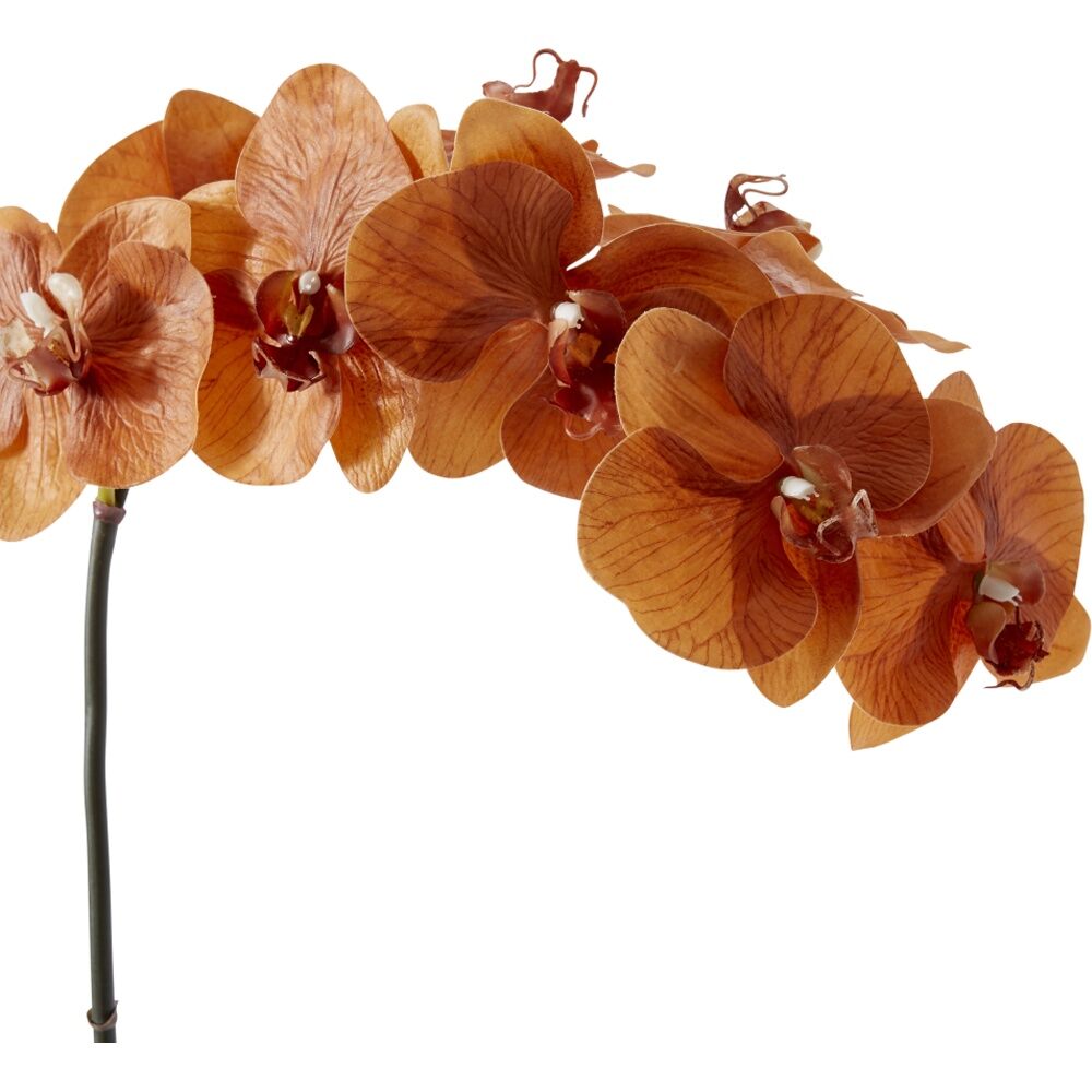 6PK E Style Phalaenopsis Orchid Stem Artificial Flower Rust 20x8x95cm