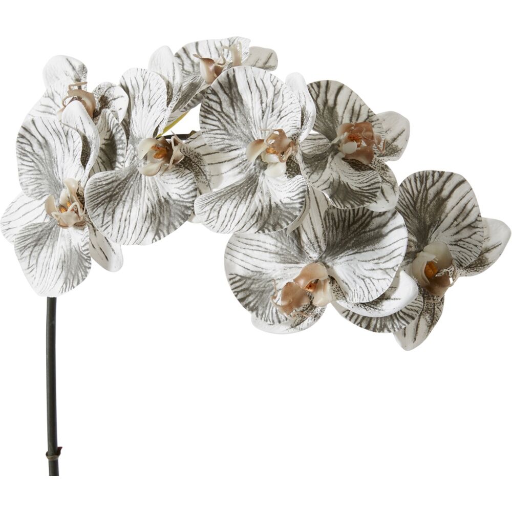 E Style Phalaenopsis Orchid Stem Artificial Flower White Black 20x8x95cm
