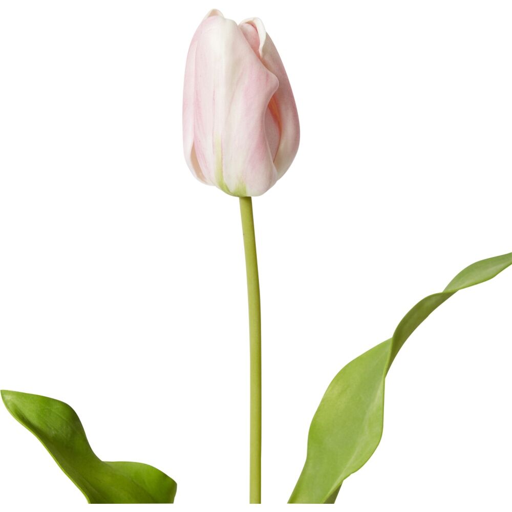 6PK E Style Tulip Dutch Stem Durable Decor Artificial Flower Pink 13x10x57cm