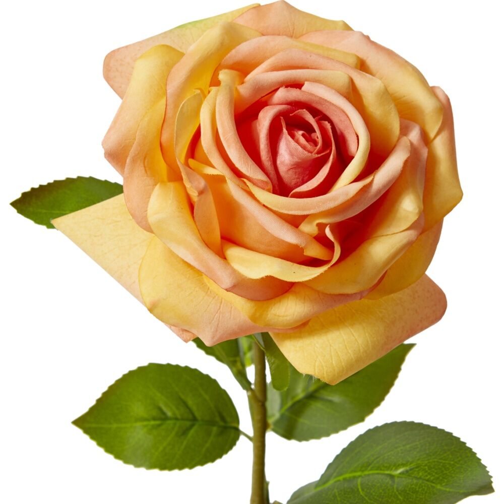 3PK E Style Rose Garden Stem Durable Artificial Flower Orange 22x14x66cm