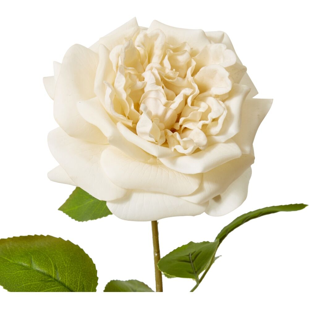 3PK E Style Rose Austin Stem Elegant Artificial Flower Champagne 22x14x66cm