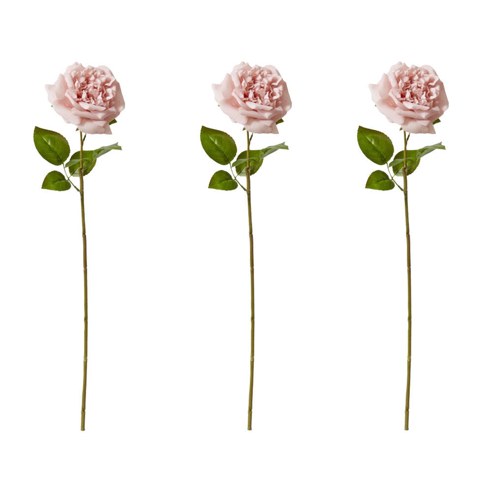 3PK E Style Rose Austin Stem Elegant Artificial Flower Dusty Pink 22x14x66cm