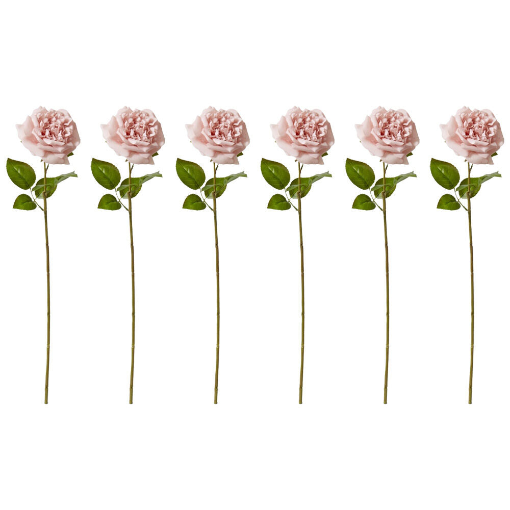 6PK E Style Rose Austin Stem Elegant Artificial Flower Dusty Pink 22x14x66cm