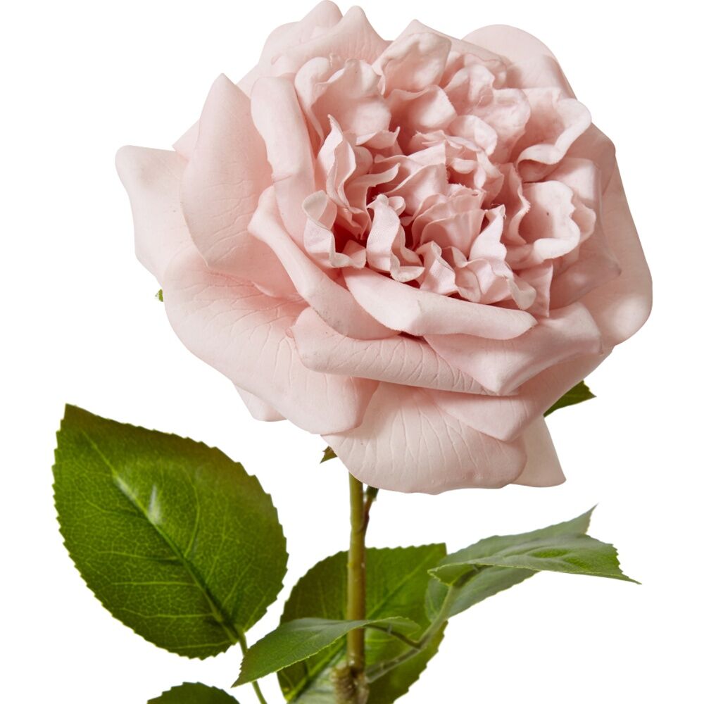 6PK E Style Rose Austin Stem Elegant Artificial Flower Dusty Pink 22x14x66cm