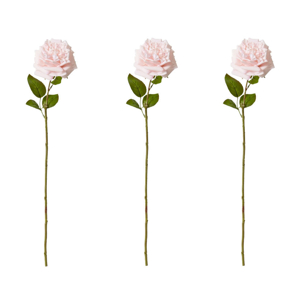 3PK E Style Rose Austin Stem Elegant Artificial Flower Soft Pink 22x14x66cm