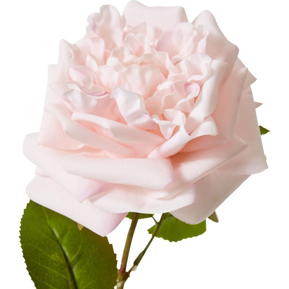 3PK E Style Rose Austin Stem Elegant Artificial Flower Soft Pink 22x14x66cm