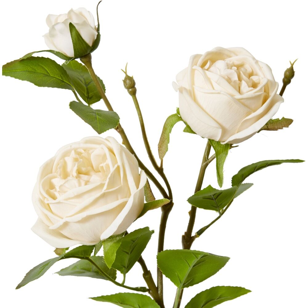 2PK E Style Rose Austin Spray Elegant Artificial Flower Champagne 24x16x78cm